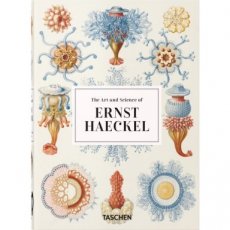 Ernst Haeckel - 40