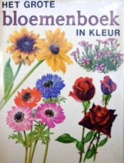 Grote bloemenboek in kleur Grote bloemenboek in kleur