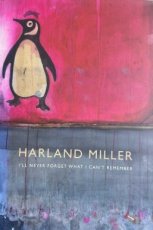 I'll Never Forget What I Can't Remember I'll Never Forget What I Can't Remember