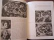 Mario Salmi: The Complete Works of Michelangelo